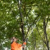 KSEIBI 143015 Long Reach Cut and Hold Bypass Pruner Max