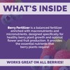 Bloom City's Organic Berry Best - Blueberry & Strawberry Fertilizer