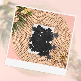 M METERXITY 12-Pack Dried Pressed Flowers for Resin, Real Natural Bulk Dry Floral for Crafts/DIY Jewelry/Soap Making/Scrapbooking/Candle/Epoxy Resin Supplies [Black]