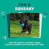 Webbox Fun & Squeaky Balls (4 Pack) - Boredom Buster