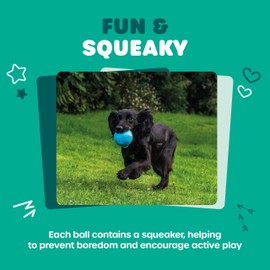 Webbox Fun & Squeaky Balls (4 Pack) - Boredom Buster Dog Toys