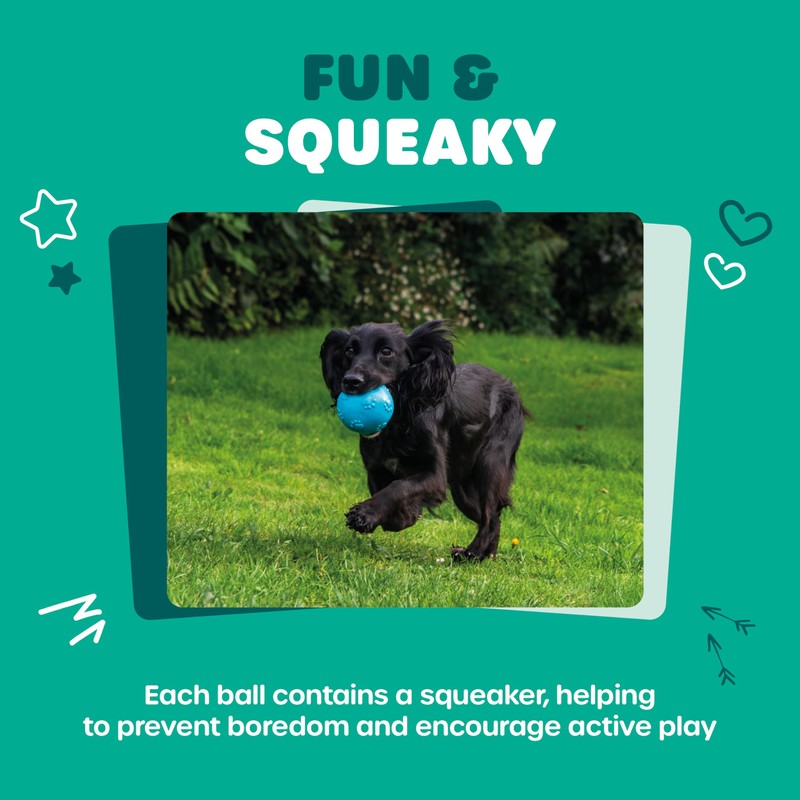 Webbox Fun & Squeaky Balls (4 Pack) - Boredom Buster