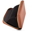 Pomelo Best Credit Card Case, Card Holder, Commuter Holder, Skimming