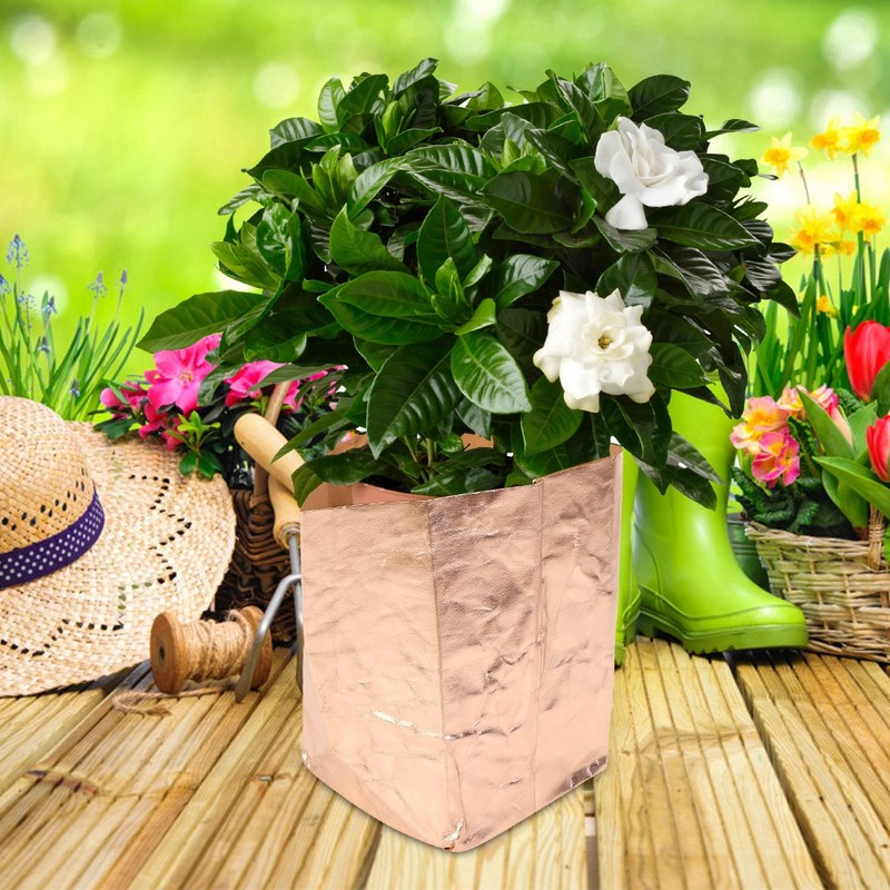 Kraft Paper Washable Reusable Planting Bag Plant Growing Bags for