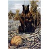 Tile Mural The Nature of Bears by Philip Goodwin Kitchen Bathroom Shower Wall Backsplash Splashback 2x3 4.25" Ceramic, Matte