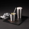 Yamakatsu Mino Toen Thermo Double High Ball Pair THM-02 Silver,
