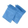 Erwin Müller Karlsruhe Wash Mitt Pack of 2 100% Cotton
