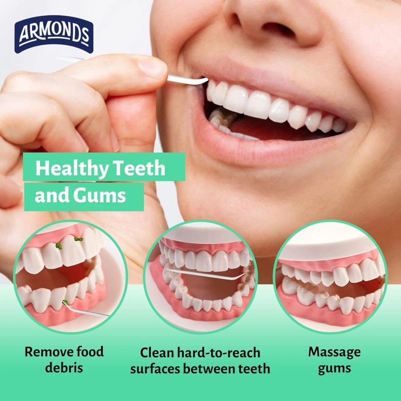 Armonds ProPicks Original Dental Picks for Teeth Cleaning - Disposable