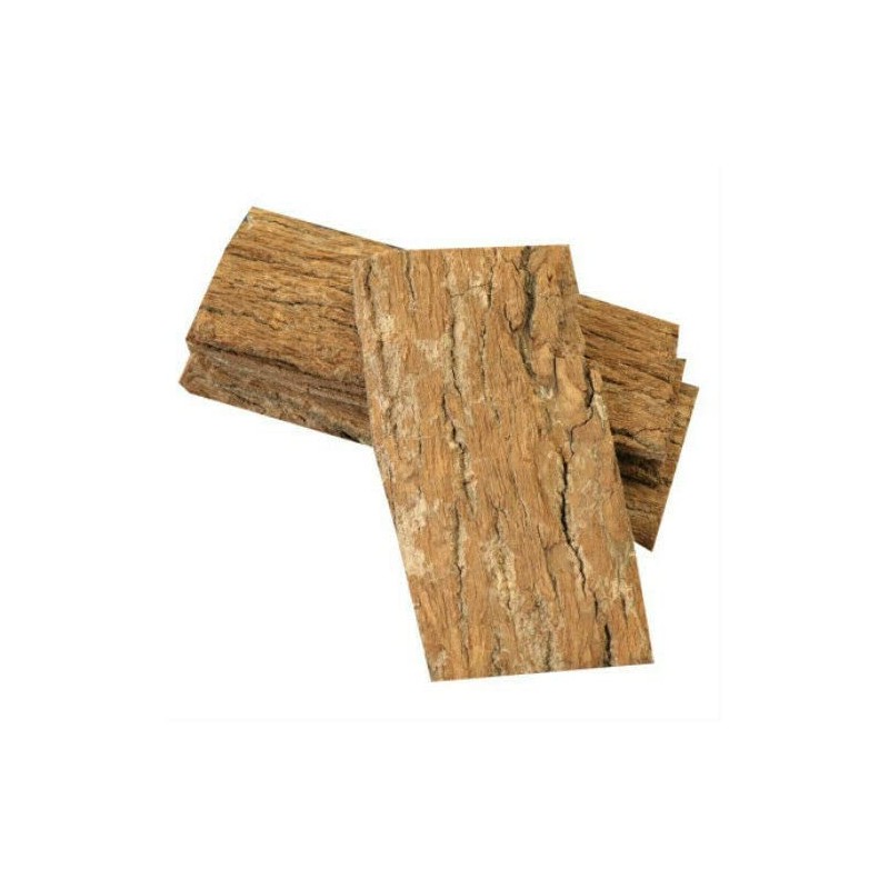 Eucommia Tea Cortex Eucommia Bark Du Zhong Chinese Herbal Material
