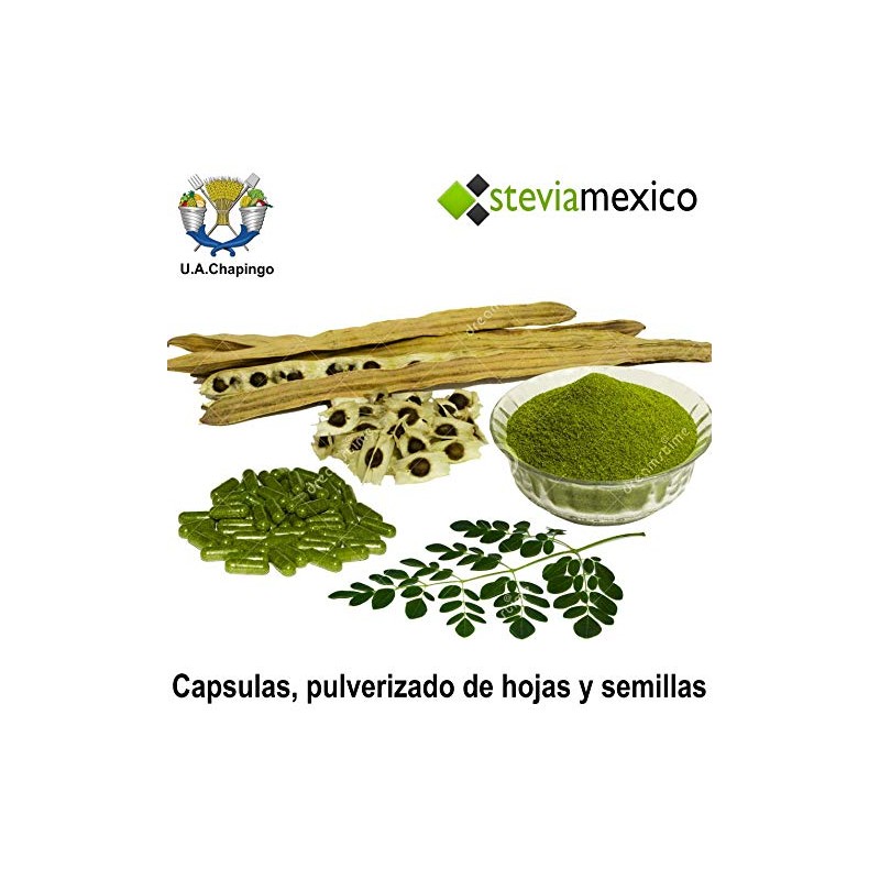 1 Kilo Moringa, Hoja Entera Orgánica - La Purisima -