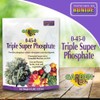 Bonide Garden Rich 0-45-0 Triple Super Phosphate, 4 lbs. Ready-to-Use