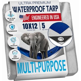 10x12 Tarp Waterproof Plastic Tarp - Grommets Every 18 Inches - 5 Mil - Multipurpose Water Proof Cover for Rain, Outdoor, Garden, Camping, Emergency Survival (Reversible Tarpaulin, Blue and Silver)