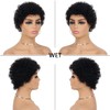 Short Afro Curly Human Hair Wig Women, Short Afro Curly
