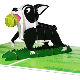 DLYMXGC Boston Terrier Pop Up Greeting Cards with Blank Note & Envelope, ideal celebration gift for Friendship, Love, Anniversary, Special Moments, Inspirational, Appreciated, Birthday