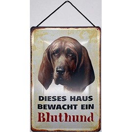 Blechschild With cord 30 x 20 cm dog sign: This house is guarded a blood dog - Blechemma