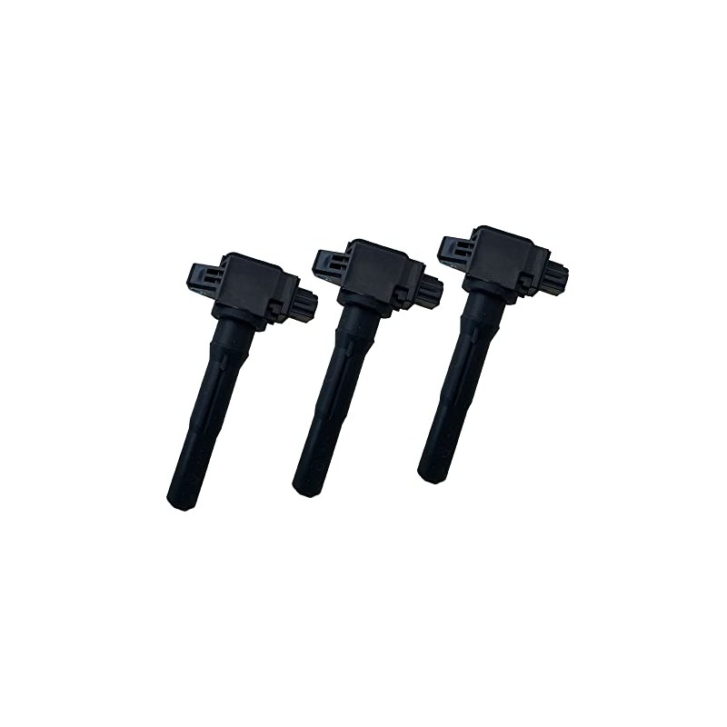 Days Lukes 22462-6A00C IC68 B21A Direct Ignition Coil, Set of