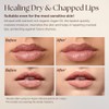 Essence Of Argan Pink Lip Stick for Cracked and Dry