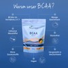 Vegavero® BCAA powder, 450 g