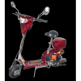 Fancy Scooters 2 STROKE STAND UP Gas Scooter  Whole Wire Harness 36cc43cc,49cc