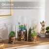 Glasseam Large Glass Cylinder Vases: 3 Pcs Clear Tall Hurricane