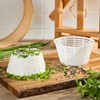 AlcoFermBrew 25 x Cheese Moulds 12 x 6.3 cm -