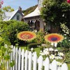 Bird Feeders for Outdoors | Bird Baths for Outdoors -