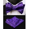 Alizeal Mens 2pcs Paisley Jacquard Self-Tie Bow Tie Pocket Square