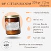 CENTRAL 220 | Vela Aromática Citrus Bloom | Cítricos, toronja,