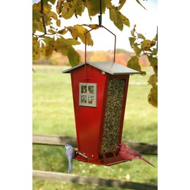 Feeder for Snacking by Woodlink