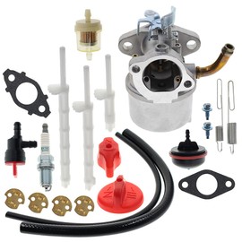 Yomoly Carburetor Compatible with Snapper SS822E (1695880) Snow Blower Replacement Carb