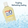 Sea Breeze Astringent 10 Ounce Original (295ml) (3 Pack)