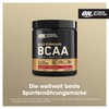 Optimum Nutrition Optimum Nutrition Gold Standard BCAA Train + Sustain,