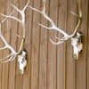 Qonutoci European Mount Skull Hanger - 12 Pack 4.1"x1.4" Deer