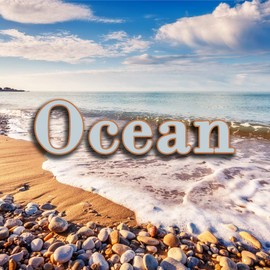 1 oz. Oil Based Scent Refill for Scent Distribution Cups (2 oz. Ocean)