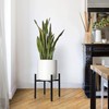 Soporte Ajustable para Plantas, Soporte para Maceta Moderno de Estilo