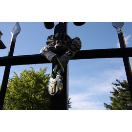 Squire 4-lever Galvanised Steel - Old English Padlock, 50mm