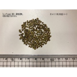 Fukkaen Seedlings 211833 Astragalus Seeds Value Pack of 1 L