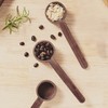 2Pcs Walnut Coffee Bean Measuring Spoon Food Grade Salt Spoon