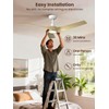 52 inch Modern Ceiling fans with Lights and remote, 3