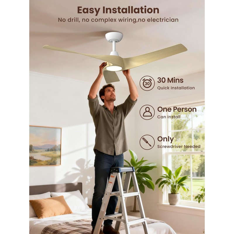 52 inch Modern Ceiling fans with Lights and remote, 3