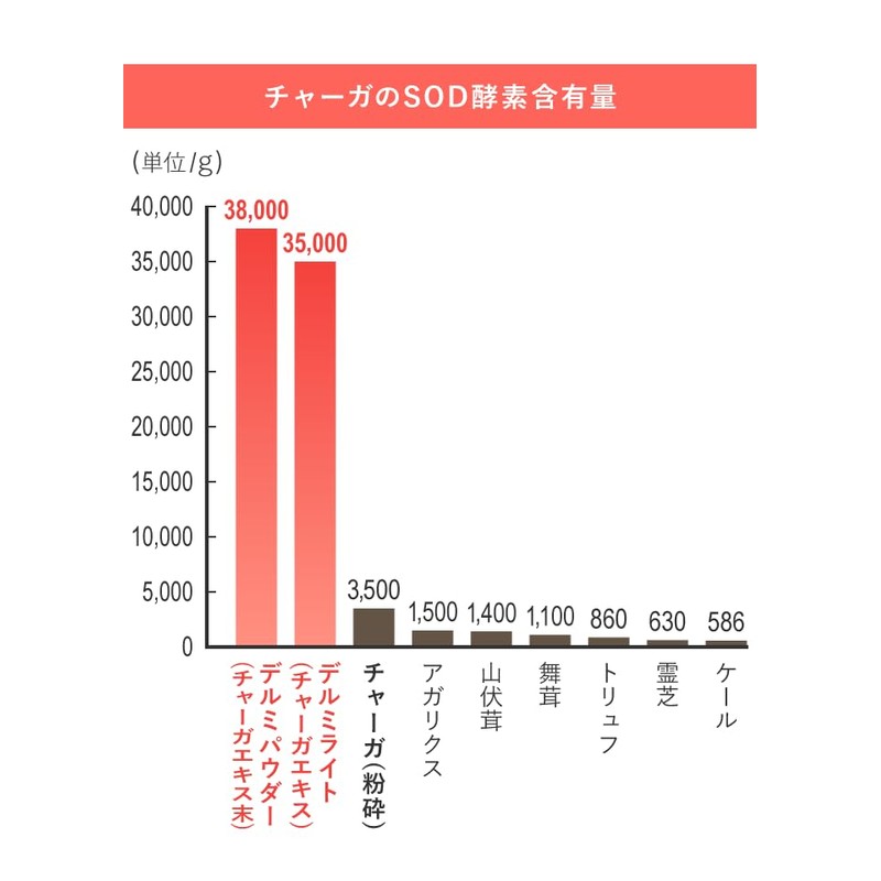 EPORASHE デルミパウダー（20g）チャーガエキス末 カバノアナタケ チャーガ