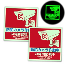 Security Stickers, Waterproof and Lightfast (Glow in the Dark Type, 2 Sheets)