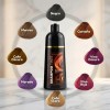 Pza Shampoo Tinte Cubre Canas Natural Instantáneo 500ml