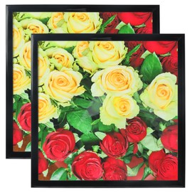 8x8 Picture Frame Set of 2,8x8 Picture Frame Black, Diploma Certificate Frame, Display Pictures Square Frame