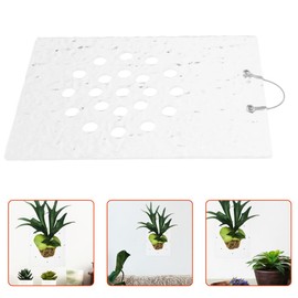 HANABASS 1 Set Wall Mounted Plant Board for Orchids Arum Plants and Other Climbing Plants Transparent Vertical Plant Wall Board Made of Acrylic Stag Horn Fern Mounting Plate