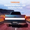 Tresound LED Tail Light for Dodge Ram 1500 2002-2006, Ram
