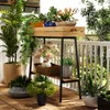 BAMBANG Bamboo Plant Stand Indoor, 2 Tier Wood Small Plant