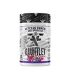 FRONTLINE FORMULATIONS Gauntlet Pre-Workout Powder, Explosive Workouts, Laser Focus, Mid