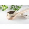 Art Brush Horsehair Body Brush, Heart (Romeo)