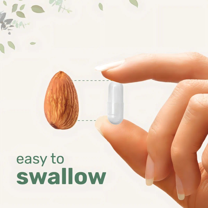 Micro Ingredients Complejo B Metilado Puro 240 Cápsulas